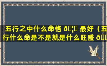 五行之中什么命格 🦄 最好（五行什么命是不是就是什么旺盛 🐅 ）